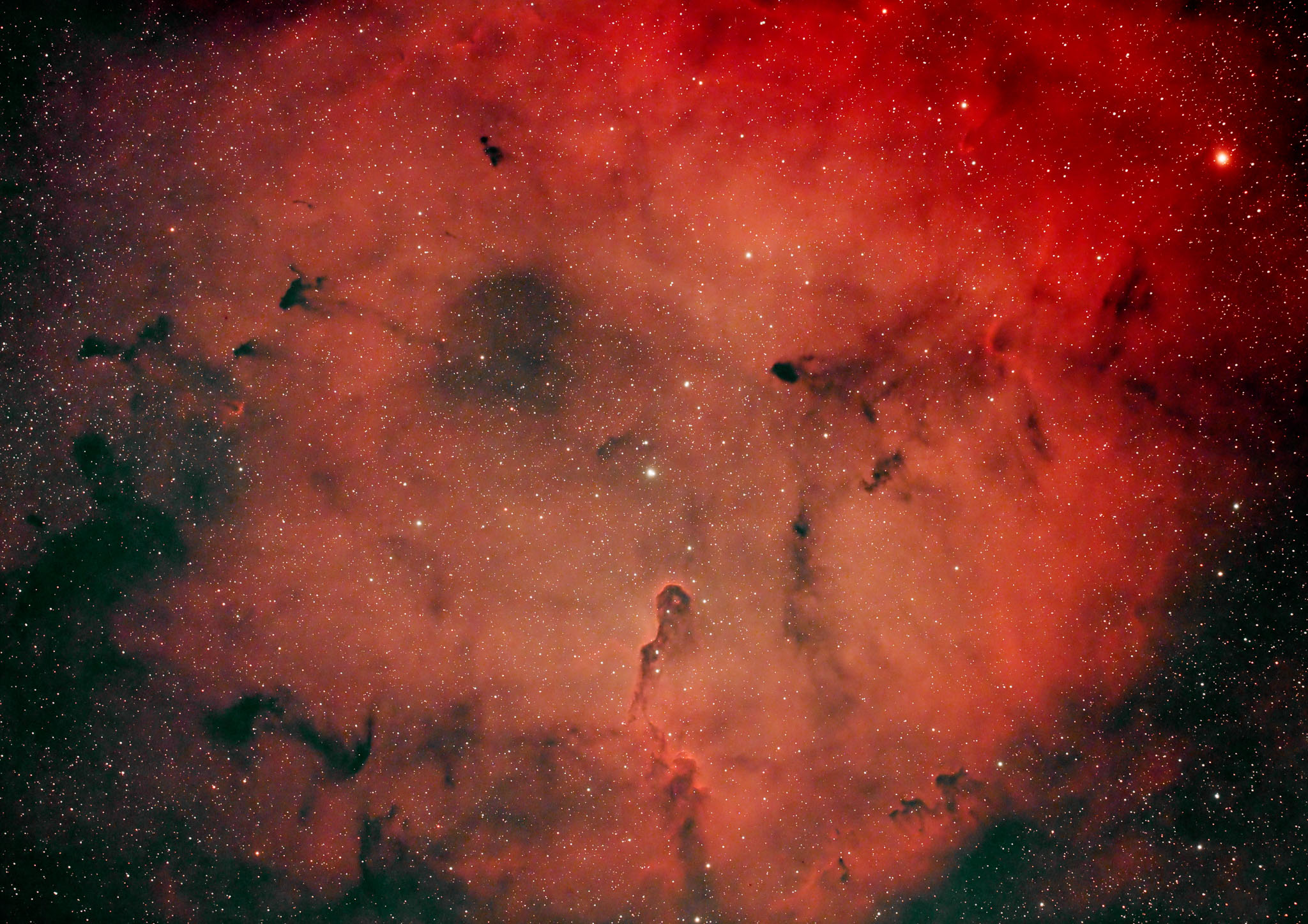 IC1396-Elephant's-Trunk-Nebula.jpg