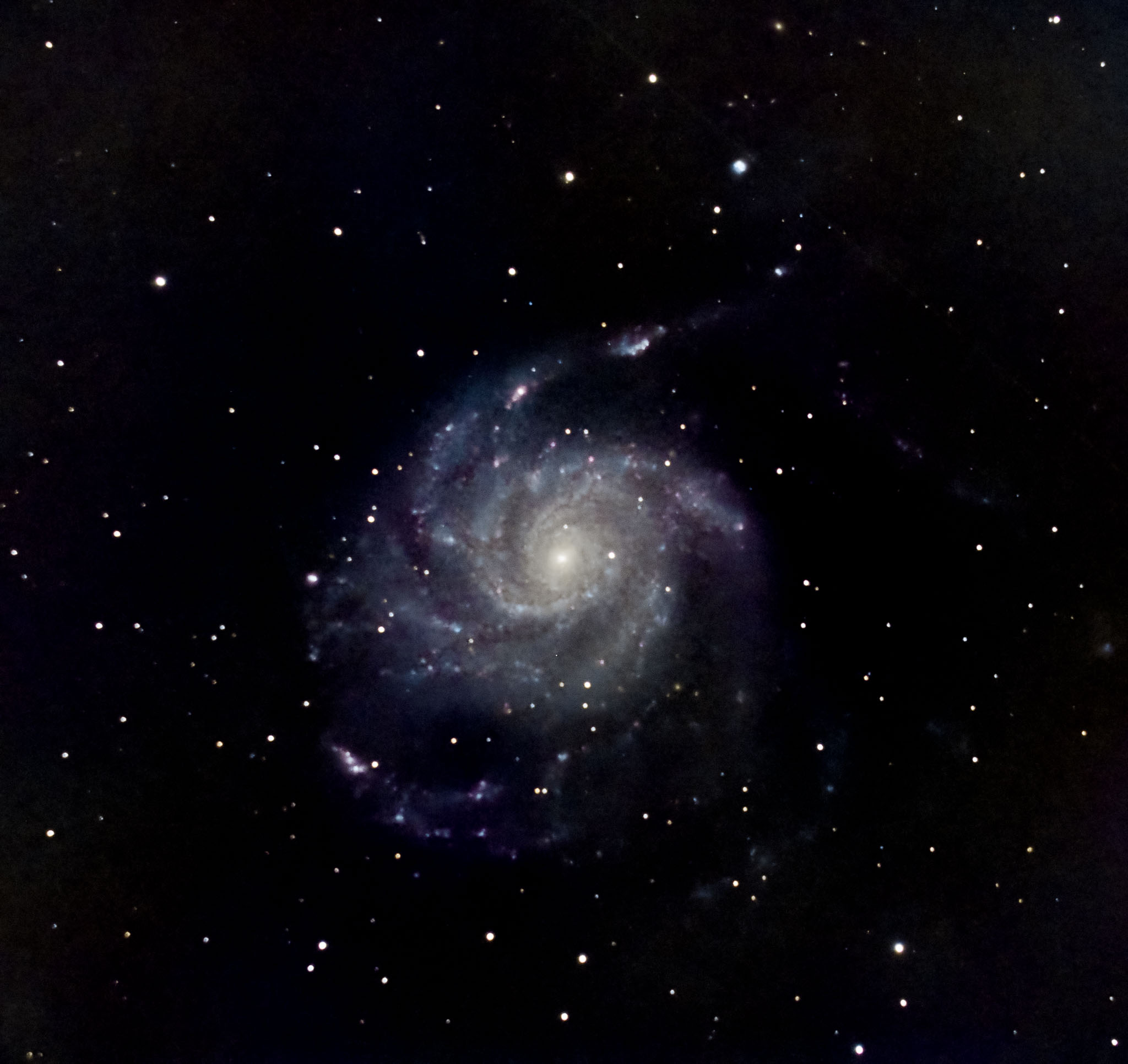 M101a.jpg