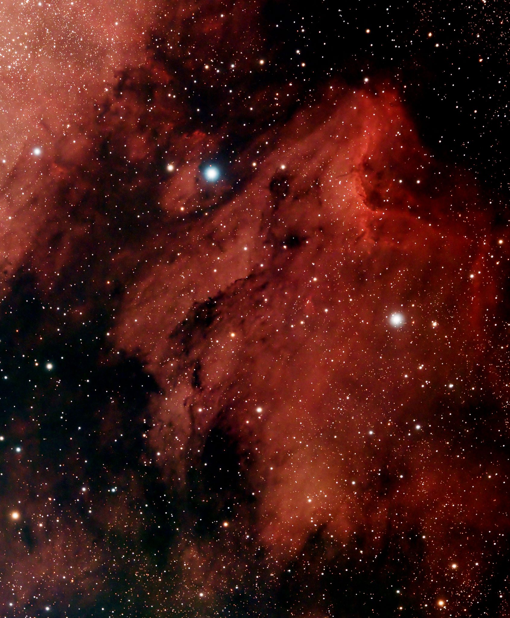 Pelican-Nebula-1.jpg