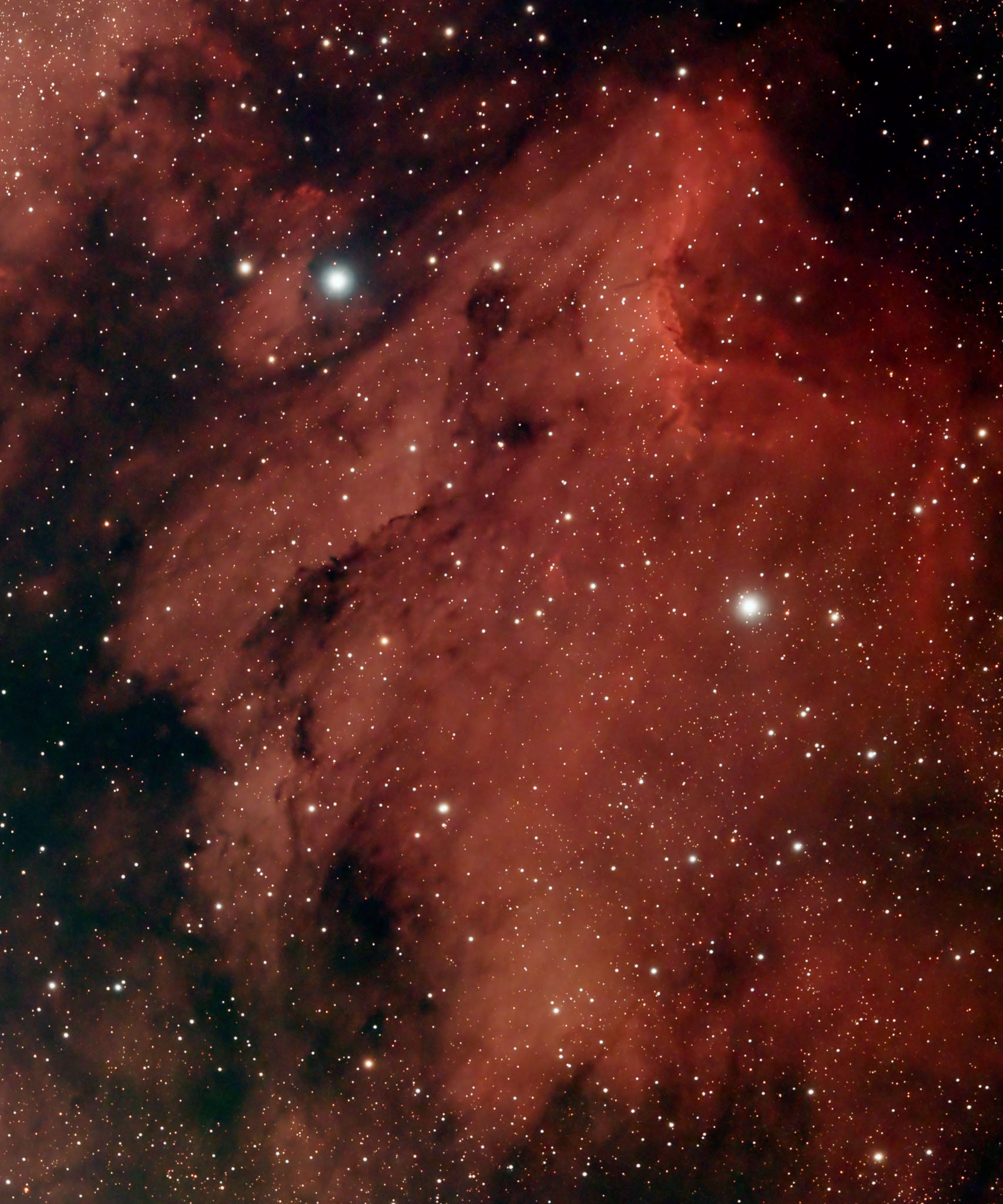 Pelican-Nebula-RGB-Ha-2.jpg