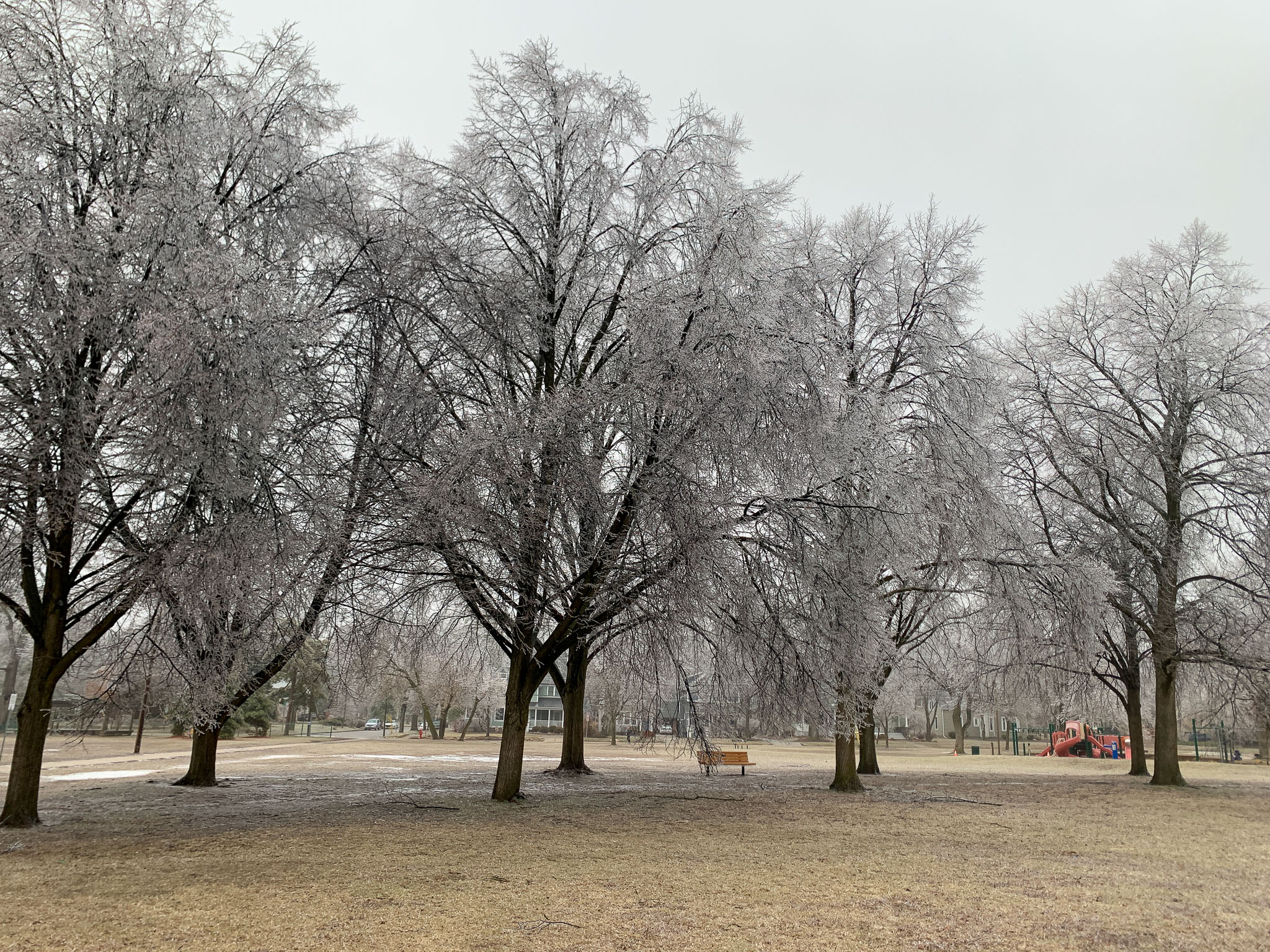 Ice-Storm-3-1.jpg